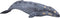 Mojo Sealife speelgoed Grijze Walvis - 387280