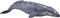 Mojo Sealife speelgoed Grijze Walvis - 387280