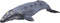 Mojo Sealife speelgoed Grijze Walvis - 387280
