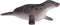 Mojo Sealife speelgoed Grijze Zeehond - 387091