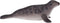 Mojo Sealife speelgoed Grijze Zeehond - 387091