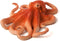 Mojo Sealife speelgoed Octopus - 387275