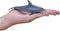Mojo Sealife speelgoed Tuimelaar Dolfijn - 387118