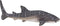 Mojo Sealife speelgoed Walvishaai - 387278