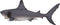 Mojo Sealife speelgoed Witte Haai Groot - 387279