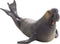 Mojo Sealife speelgoed Zeeolifant - 387208
