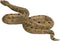 Mojo Wild Life Groene Anaconda 381007