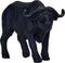 Mojo Wild Life mini wilde dieren 12st 380057