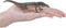 Mojo Wild Life Perentiele Hagedis 381061