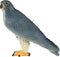 Mojo Wild Life Slechtvalk 381056