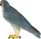 Mojo Wild Life Slechtvalk 381056