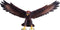 Mojo Wild Life Steenarend 381051