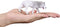 Mojo Wildlife Arctische Wolf - 381052