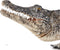 Mojo Wildlife speelgoed Alligator met bewegende kaak - 387168