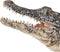 Mojo Wildlife speelgoed Alligator met bewegende kaak - 387168