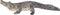 Mojo Wildlife speelgoed Alligator met bewegende kaak - 387168