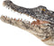 Mojo Wildlife speelgoed Alligator met bewegende kaak - 387168