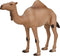Mojo Wildlife speelgoed Arabische Kameel - 387113