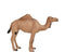 Mojo Wildlife speelgoed Arabische Kameel - 387113