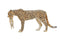 Mojo Wildlife speelgoed Cheetah Vrouwtje met Welp - 387167