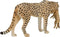 Mojo Wildlife speelgoed Cheetah Vrouwtje met Welp - 387167