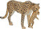 Mojo Wildlife speelgoed Cheetah Vrouwtje met Welp - 387167