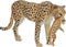 Mojo Wildlife speelgoed Cheetah Vrouwtje met Welp - 387167