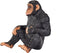 Mojo Wildlife speelgoed Chimpansee - 387265