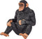 Mojo Wildlife speelgoed Chimpansee - 387265