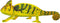 Mojo Wildlife speelgoed Kameleon - 387129