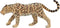 Mojo Wildlife speelgoed Luipaard - 387018