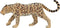 Mojo Wildlife speelgoed Luipaard - 387018
