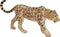 Mojo Wildlife speelgoed Luipaard - 387018