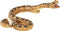Mojo Wildlife speelgoed Ratelslang - 387268