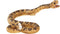 Mojo Wildlife speelgoed Ratelslang - 387268