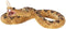 Mojo Wildlife speelgoed Ratelslang - 387268