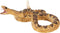 Mojo Wildlife speelgoed Ratelslang - 387268