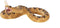 Mojo Wildlife speelgoed Ratelslang - 387268