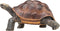 Mojo Wildlife speelgoed Reuzenschildpad - 387259