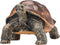 Mojo Wildlife speelgoed Reuzenschildpad - 387259