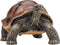 Mojo Wildlife speelgoed Reuzenschildpad - 387259