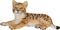 Mojo Wildlife speelgoed Tijger Welp Liggend - 387009