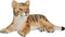 Mojo Wildlife speelgoed Tijger Welp Liggend - 387009