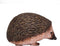 Mojo Woodland speelgoed Egel - 387035