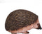 Mojo Woodland speelgoed Egel - 387035