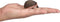 Mojo Woodland speelgoed Egel - 387035