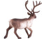 Mojo Woodland speelgoed Rendier - 387186