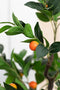 J-Line Kumquat Boom In Pot Plastiek Groen/Oranje Large