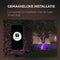 Calex Smart Outdoor LED Buitenlamp - Slimme Grondspot - RGB en Warm Wit Licht - 4W - Zwart (2 stuks)