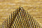 MOMO Rugs Atlas Gold 107191 140x200 cm